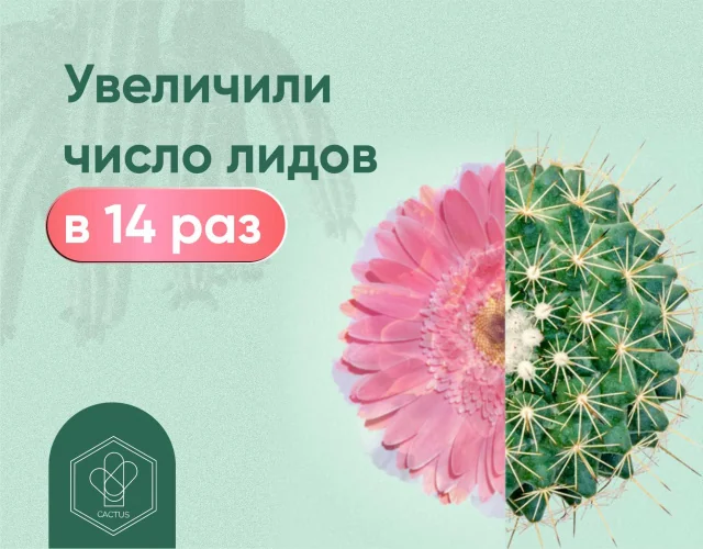 Контекст для проекта Cactus — фрагмент 2