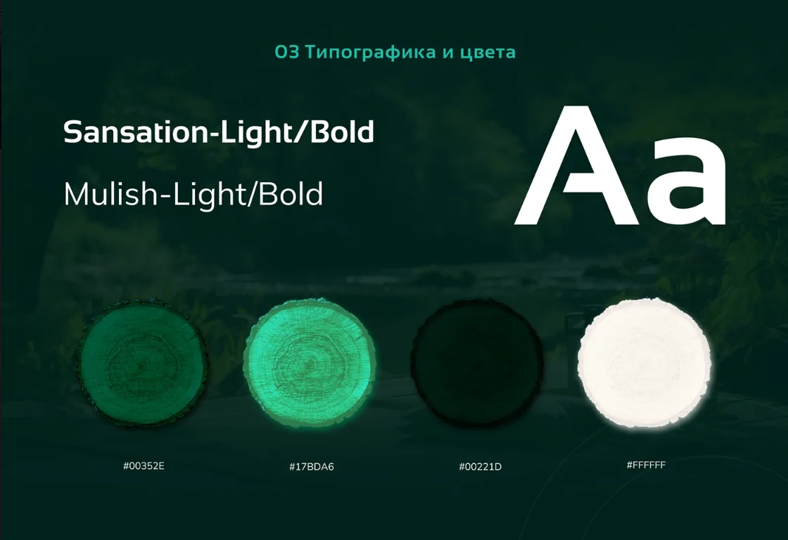 Дизайн сайта для производителя бань AXWOOD — фрагмент 19